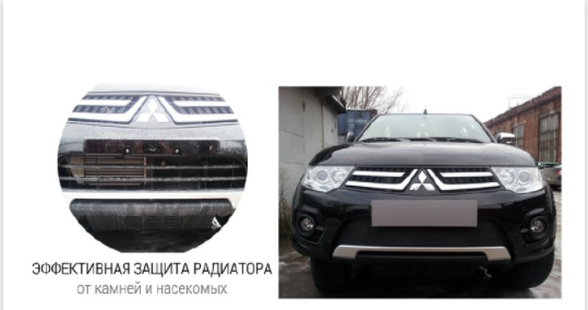Защита радиатора "Standart" Ford Focus I рестайлинг (2001-2005) чёрная купить недорого с доставкой в Красногорск